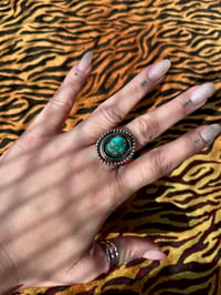 Image 4 of Emerald Valley Collection