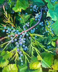 Juniper Sprig by Sari Shryack - Original Painting
