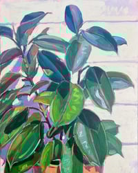 Sunny Rubber Tree Plant by Sari Shryack - Original Painting