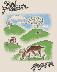 Image 2 of Far Away Hills Shirt