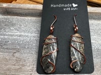 Image 1 of Tiger Dendritic Agate Earrings 
