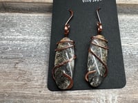 Image 2 of Tiger Dendritic Agate Earrings 
