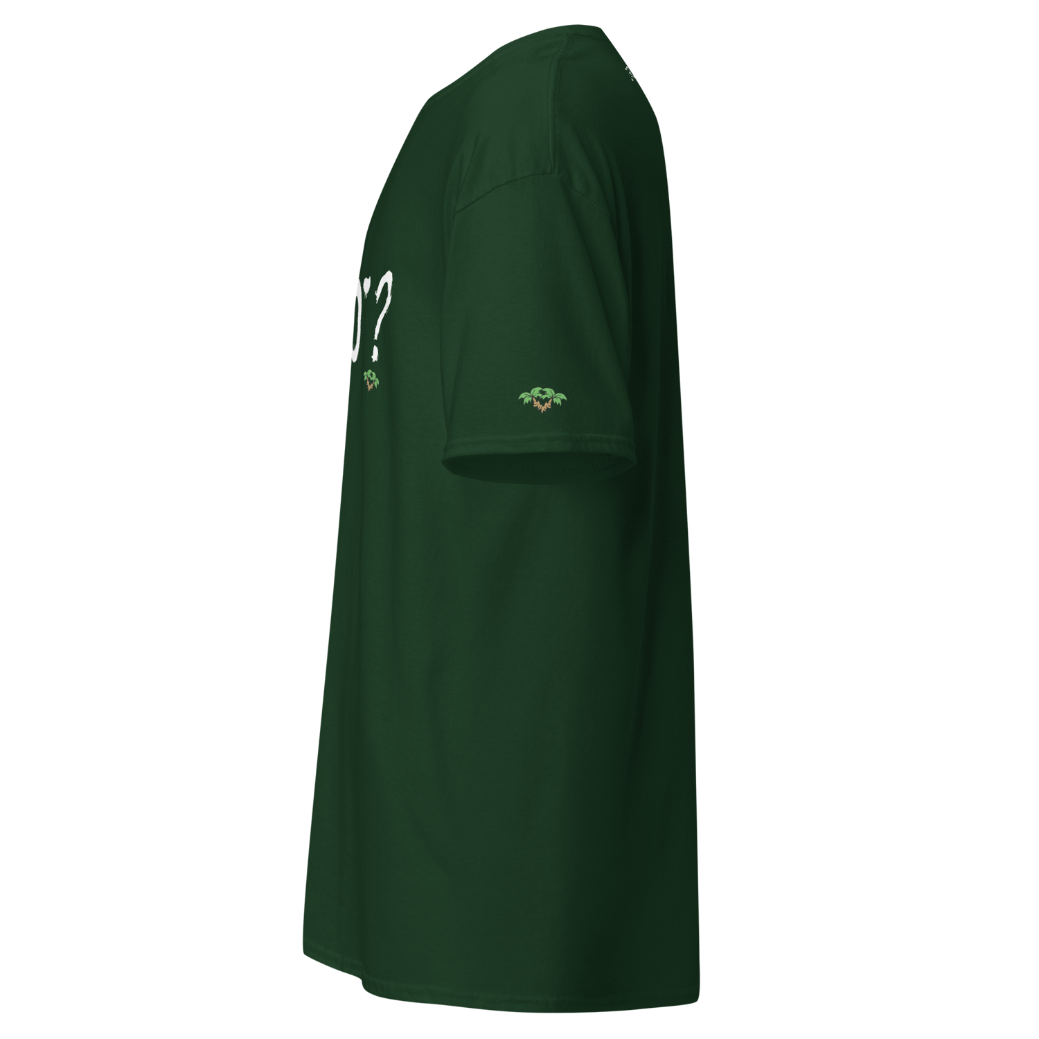 Image of Crooked Palms - Why Not?