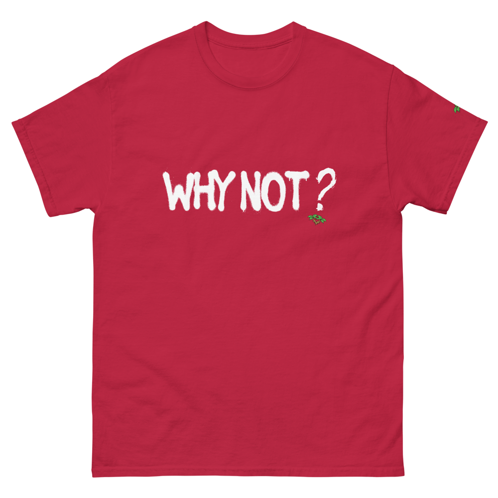 Image of Crooked Palms - Why Not?