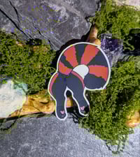 Image 3 of Furry Butts [Set 1]