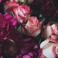 Psalm 23 Intention Spray