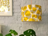 Image 24 of Design and Make Your Own Lampshade