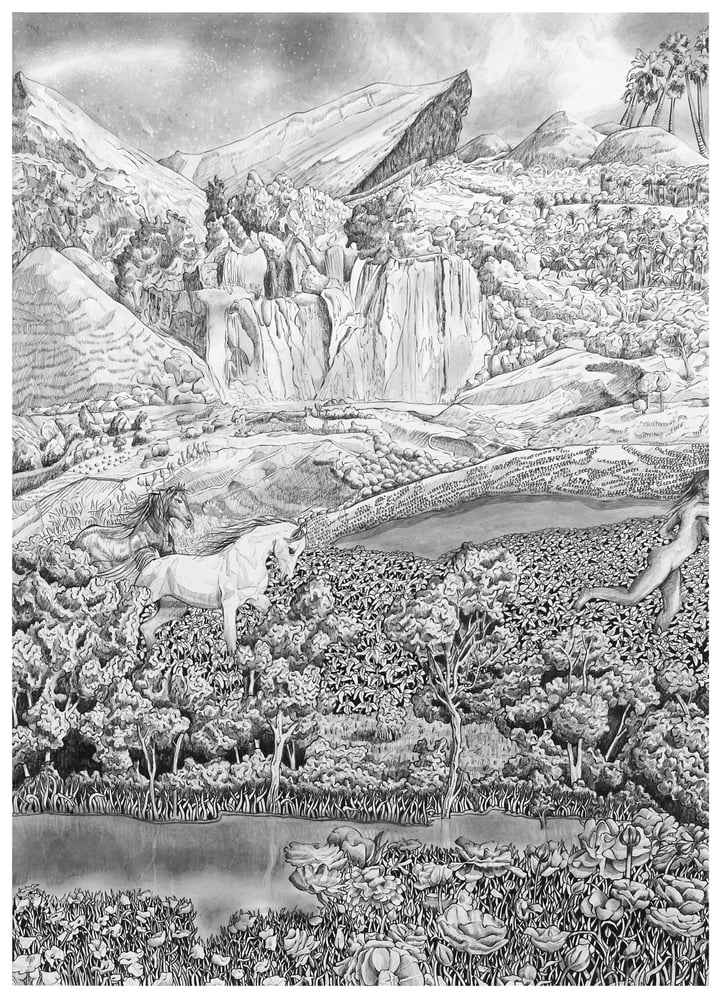 Image of Abundance - Drawing