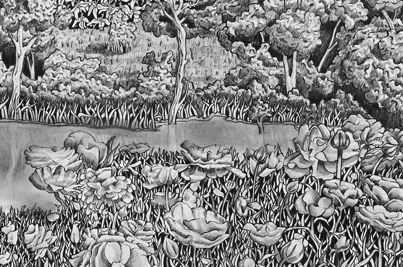Image of Abundance - Drawing