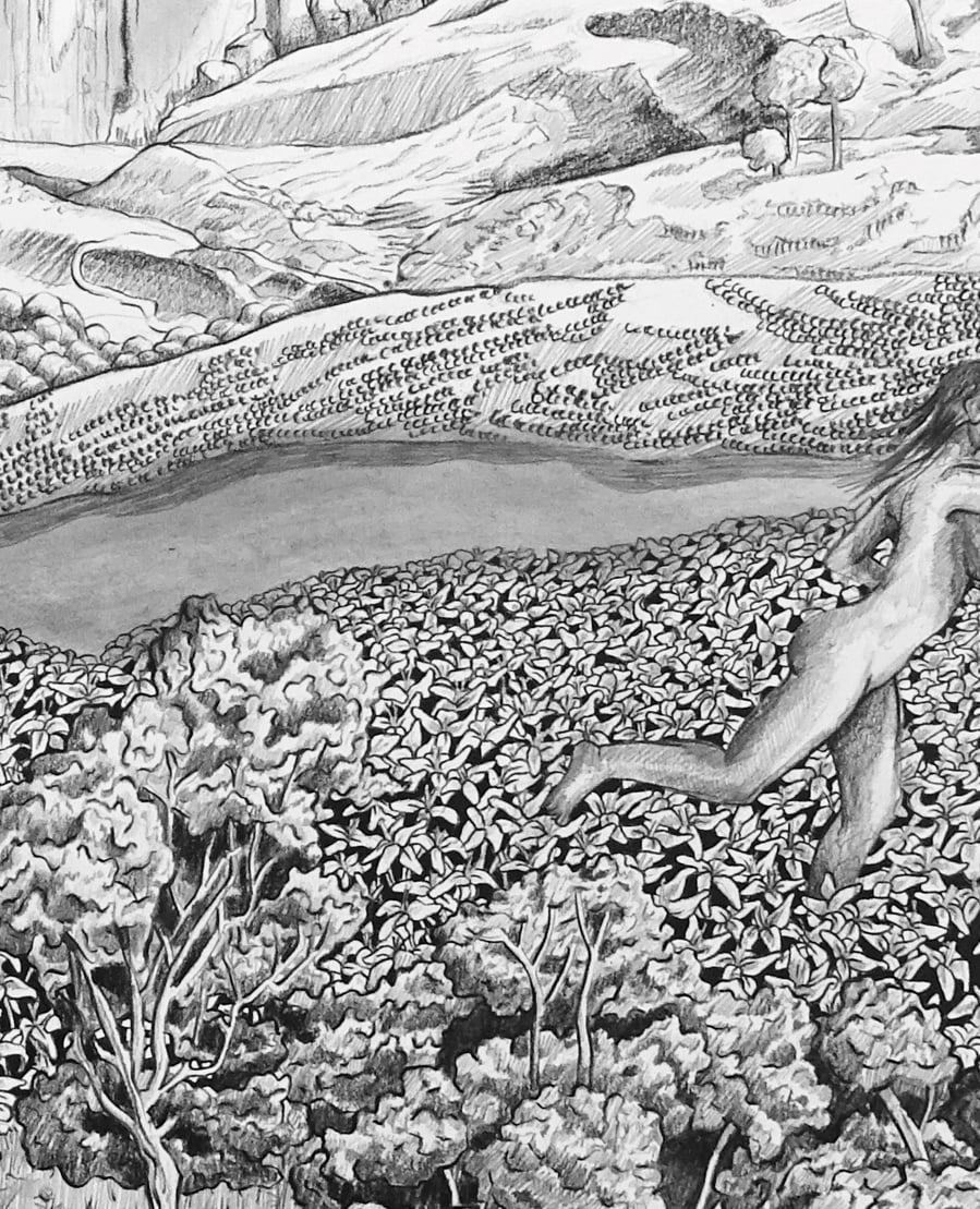 Image of Abundance - Drawing