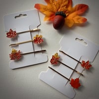 Image 1 of Autumn Hair Pin Set