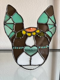 Image 1 of Sugar skull brown Boston 