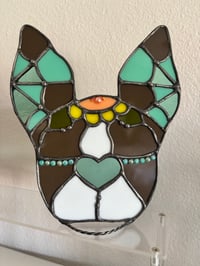 Image 4 of Sugar skull brown Boston 