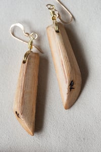 Image 4 of  Bark Beetle, Earrings | 010