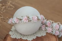 Newborn/Sitter Halo 54