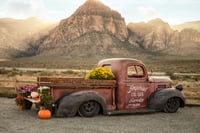 Image 1 of MUMS THE WORD - Fall Truck Minis