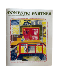 Image 1 of The Domestic Partner, issue 1