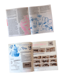 Image 3 of The Domestic Partner, issue 1