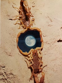 Double Scorpio poster 