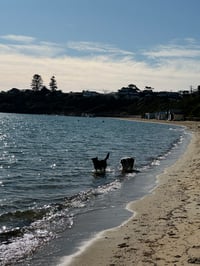 Image 2 of Beach to Studio Art Workshop