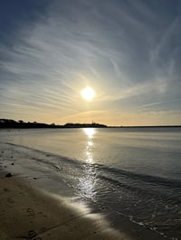 Image 9 of Beach to Studio Art Workshop