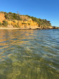 Image 1 of Beach to Studio Art Workshop