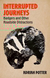 Interrupted Journeys: Badgers and Other Roadside Distractions