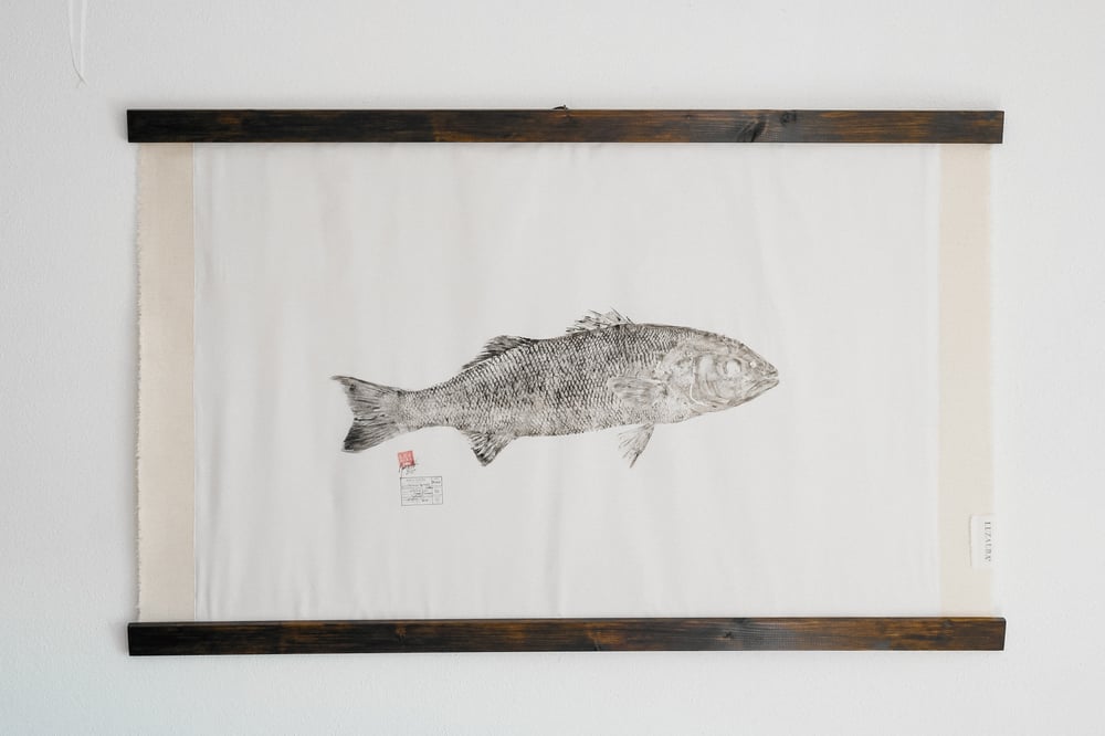 Image of Robalo *L. | Seabass