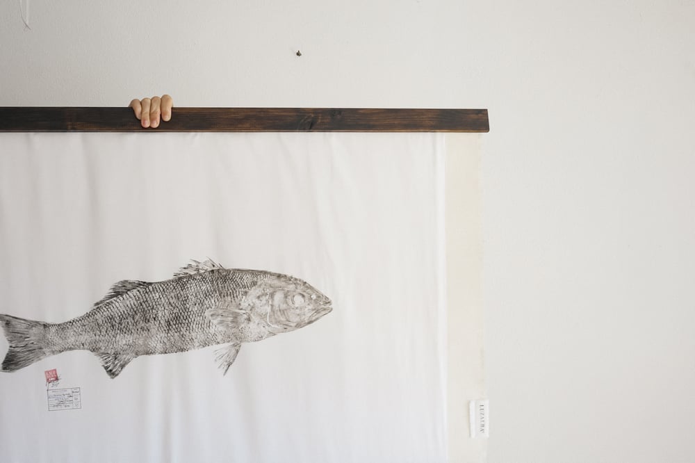 Image of Robalo *L. | Seabass