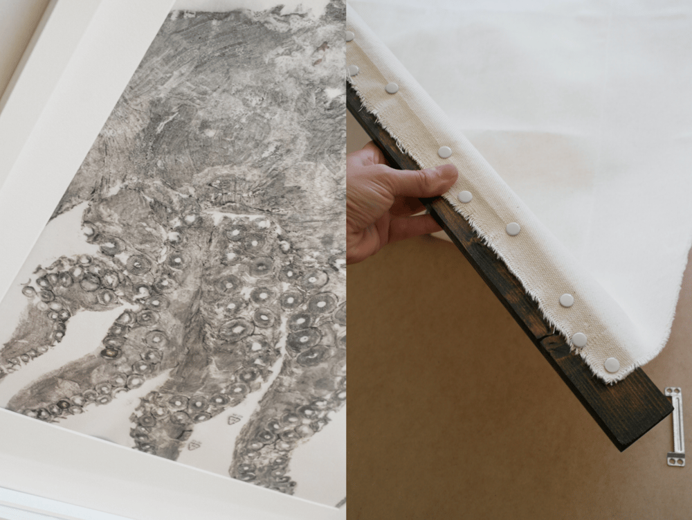 Image of POLVO *L. | Octopus