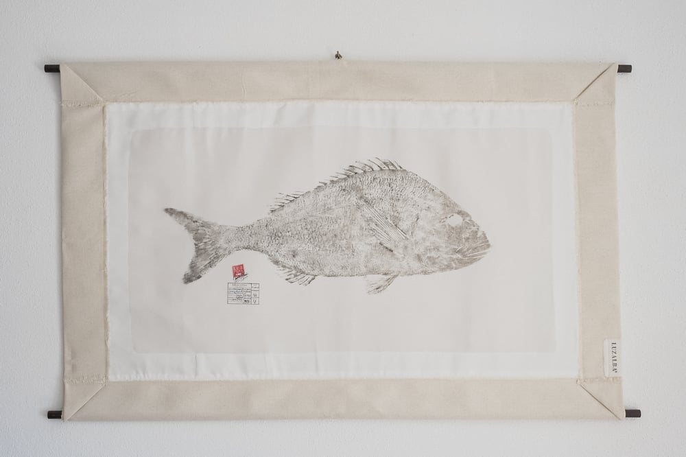 Image of Dourada *L.| G. Seabream