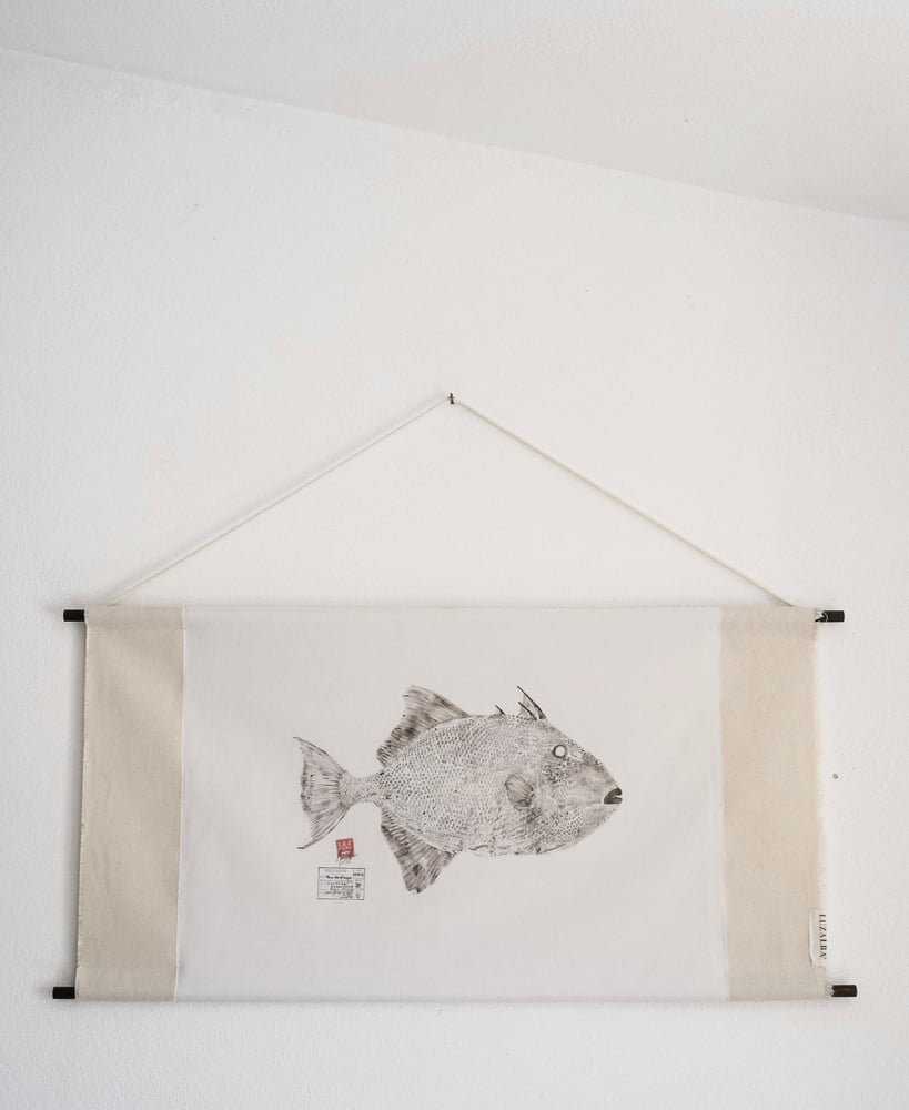 Image of Peixe-p. *L. | Triggerfish