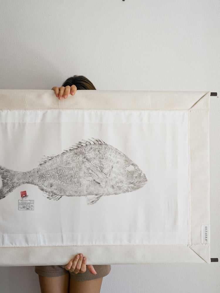 Image of Dourada *L.| G. Seabream