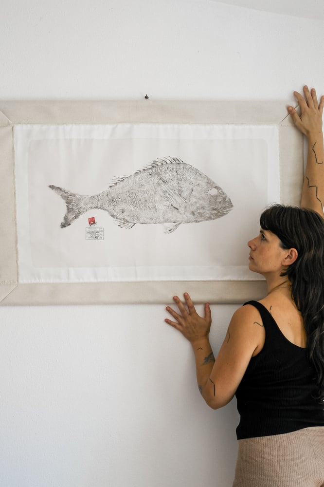 Image of Dourada *L.| G. Seabream