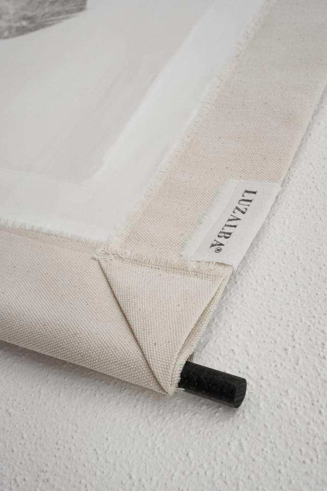 Image of Dourada *L.| G. Seabream