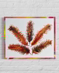 Image 2 of Phoenix Prophecies