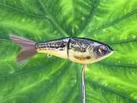 Image 6 of SPEEDBAITS Custom Airbrushed Glidebait 5516