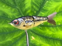 Image 7 of SPEEDBAITS Custom Airbrushed Glidebait 5516