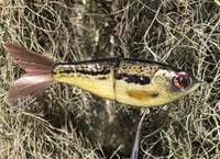 Image 8 of SPEEDBAITS Custom Airbrushed Glidebait 5516