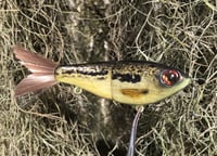 Image 13 of SPEEDBAITS Custom Airbrushed Glidebait 5516