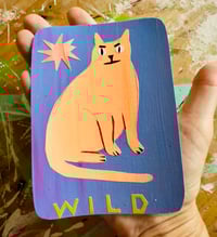 Image 2 of wild cat