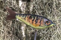 Image 3 of SPEEDBAITS Custom Airbrushed Glidebait 5780