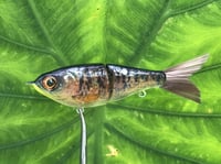 Image 1 of SPEEDBAITS Custom Airbrushed Glidebait 5780