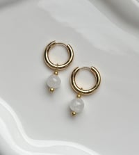 Image 1 of Moonstone Huggies Gold/Stainless Steel