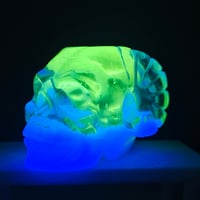 Image 2 of Horned skull- double cast