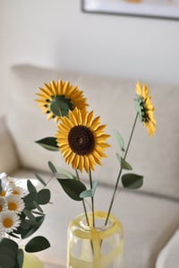 Image 4 of YOU'RE MY SUNSHINE