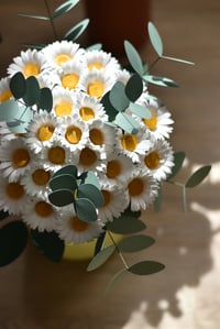 Image 3 of SIMPLY DAISIES