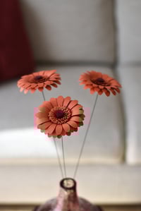 Image 4 of GERBERA TRILOGY