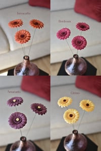 Image 2 of GERBERA TRILOGY