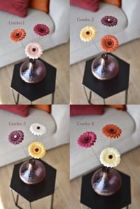 Image 3 of GERBERA TRILOGY